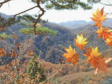 新澳天天彩免費(fèi)資料大全特色功能介紹圖片｜阜陽靠哪些省_怎么升級小車導(dǎo)航軟件版XNT98.5.59